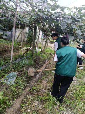 大学生生物团队攻克猕猴桃“溃疡病” 科技助力农业生态发展-图2