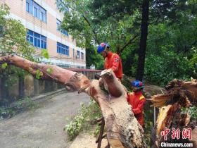 台风“格美”登陆 福建森林消防分赴多地处置灾情-图3