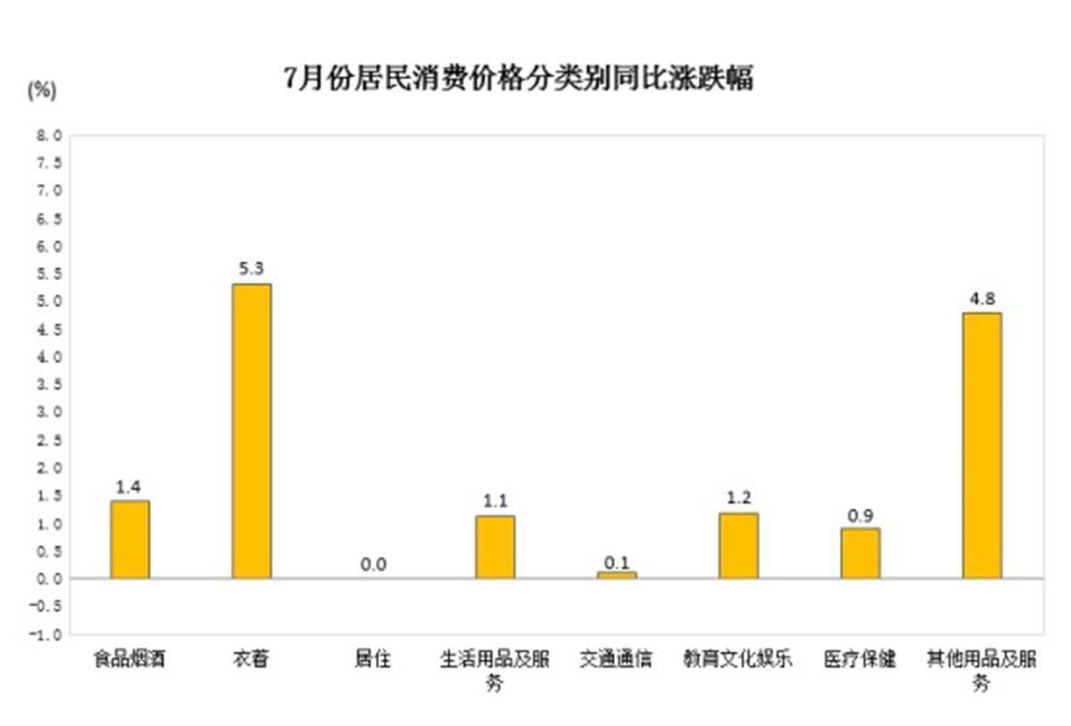 7月武汉CPI同比上涨1.1%-图2