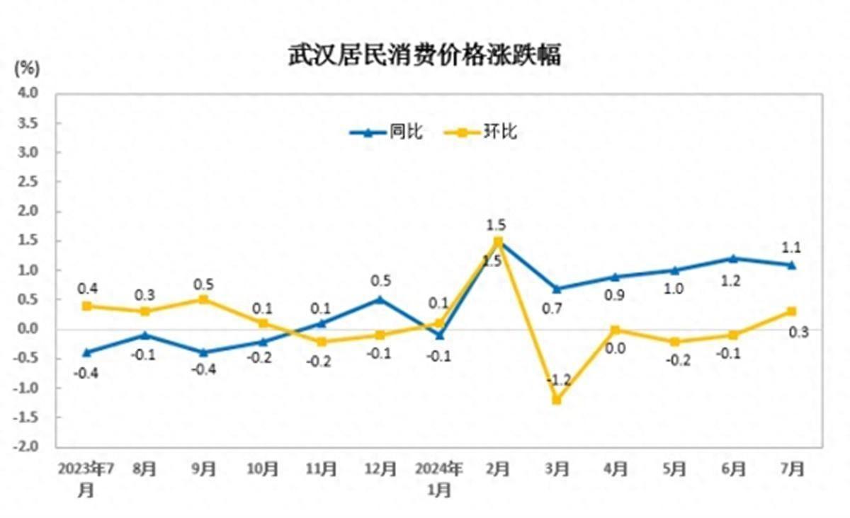 7月武汉CPI同比上涨1.1%