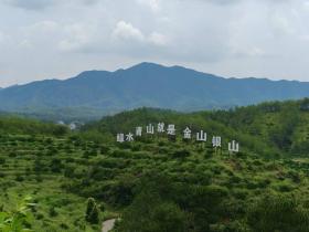 绿水青山，就是幸福“靠山”-图3