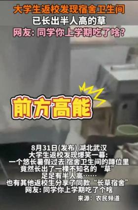 离谱！湖北一大学生返校竟发现厕所里长出半人高杂草，离奇又好笑-图2