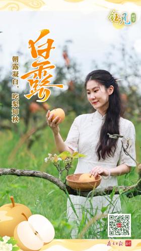 钰见·时节｜露凝而白，这一口甜，与“梨”有约-图5